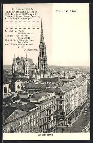 AK Wien, Der alte Steffel, Blick zum Stephansdom