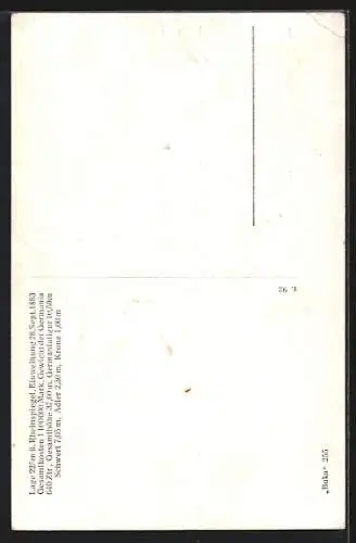 AK Rüdesheim am Rhein, Niederwalddenkmal