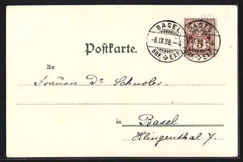 Künstler-AK Theo Stroefer Serie Nr.5233: Fliegende Vögel am Himmel