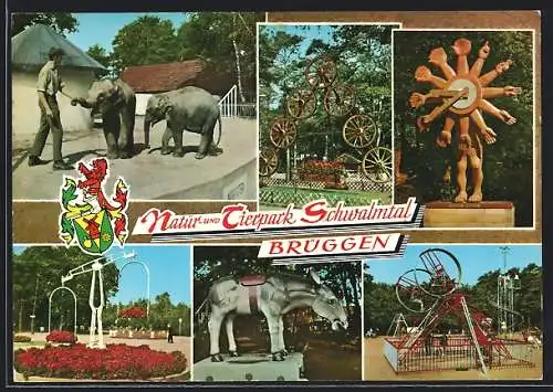 AK Brüggen / Niederrhein, Natur- und Tierpark Schwalmtal, Elefantenbabys, Waage, Esel