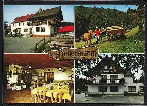 AK Immenreuth, Gasthof-Pension Hubertushof, Innenansicht, Eingang