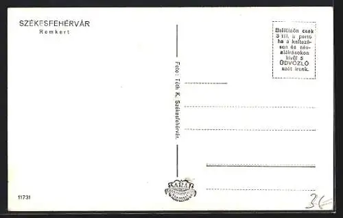 AK Székesfehérvár, Romkert