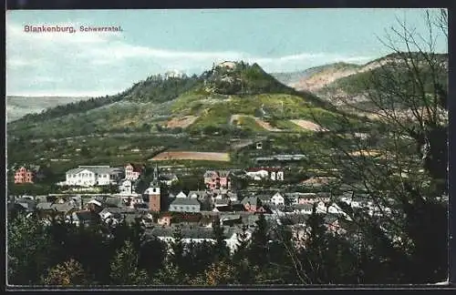 AK Blankenburg /Schwarzatal, Ansicht vom Wald aus