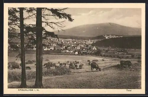 AK Braunlage i. H., Totalansicht der Ortschaft