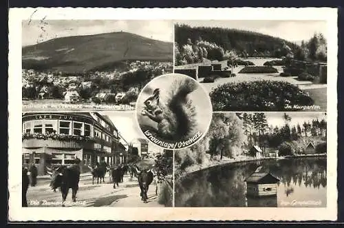 AK Braunlage /Oberharz, Die Damenkapelle, Kurgarten und Gondelteich