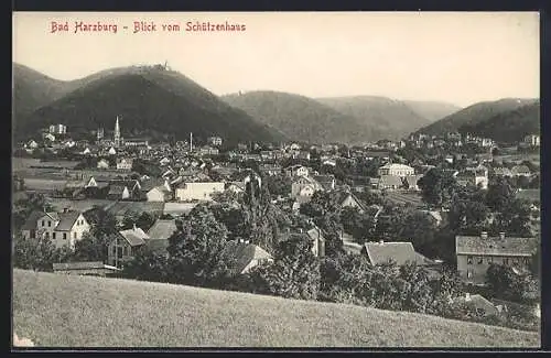 AK Bad Harzburg, Blick vom Schützenhaus