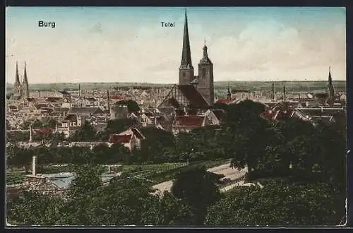 AK Burg / Anhalt, Totalansicht mit Kirche