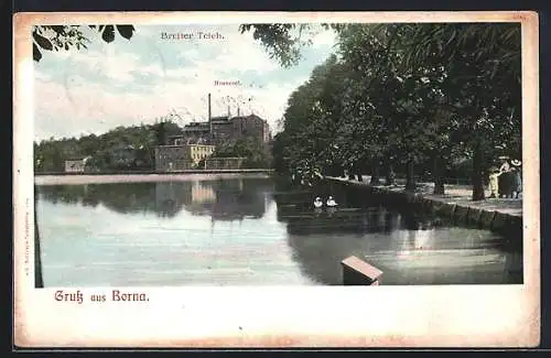 AK Borna / Leipzig, Idylle am Teich