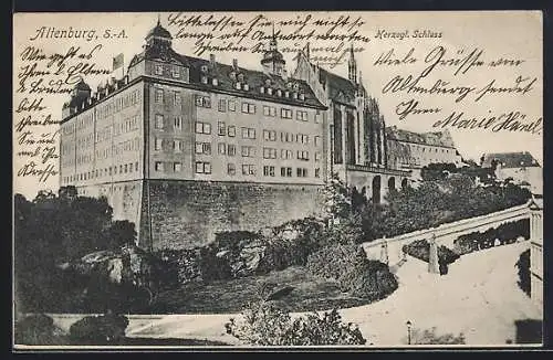 AK Altenburg /S.-A., Strassenpartie am Herzogl. Schloss