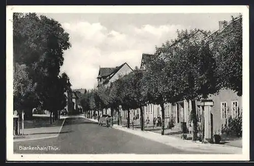 AK Blankenhain /Thür., Strassenpartie mit Wohnhäusern