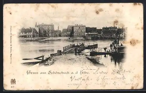 AK Schönebeck / Elbe, Uferpartie