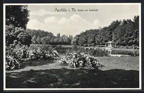 AK Apolda i. Th., Partie am Lohteich