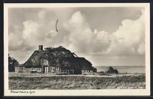 AK Sylt, Ortspartie mit Friesenhaus