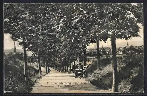 AK Eschwege, Promenadenweg nach dem Leuchtberg