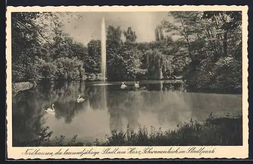 AK Nordhausen /Harz, Schwanenteich im Stadtpark