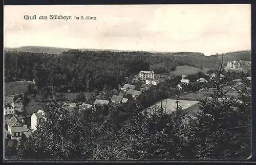 AK Sülzhayn im S.-Harz, Ortsansicht aus der Vogelschau