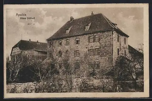 AK Apolda, Altes Schloss