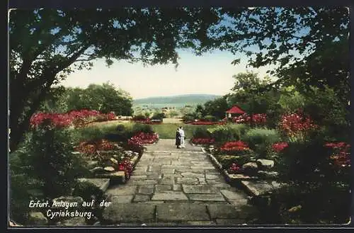 AK Erfurt, Anlagen auf der Cyriaksburg