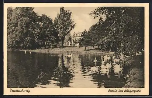 AK Braunschweig, Partie im Bürgerpark