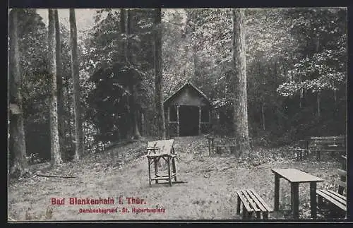 AK Bad Blankenhain i. Thür., Dambachsgrund und St.-Hubertusplatz