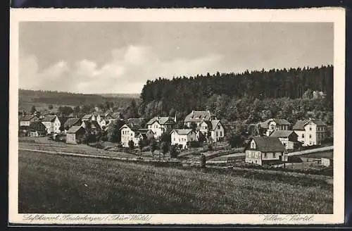 AK Finsterbergen /Thür. Wald, Blick auf das Villenviertel