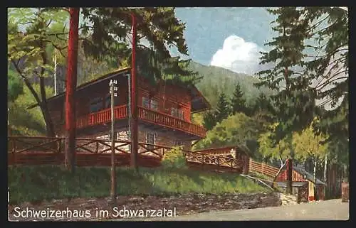 Künstler-AK Schwarzburg, Schweizerhaus im Schwarzatal