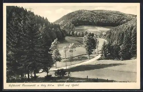 AK Frauenwald a. Rstg., Blick auf Gabel mit Parkweg