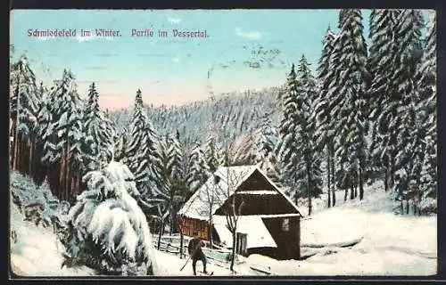 AK Schmiedefeld / Thür., Skifahrer im Vessertal im Winter
