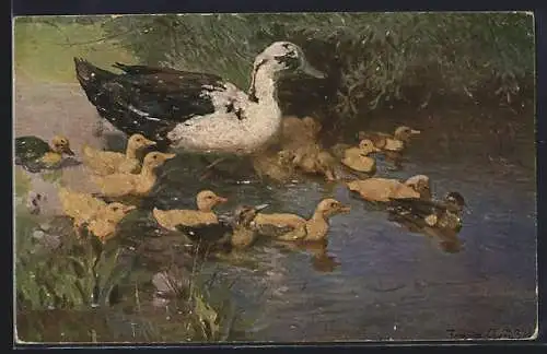 Künstler-AK Ente geht mit Küken ins Wasser