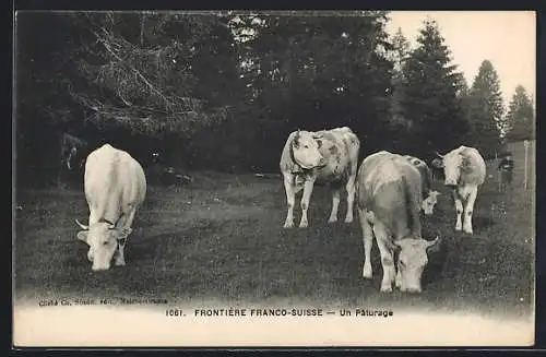 AK Frontière Franco-Suisse, Un Paturage