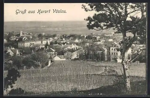 AK Vöslau, Ortsansicht von einen Berg aus