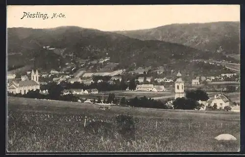 AK Piesting /N.-Oe., Gesamtansicht von einen Berg aus