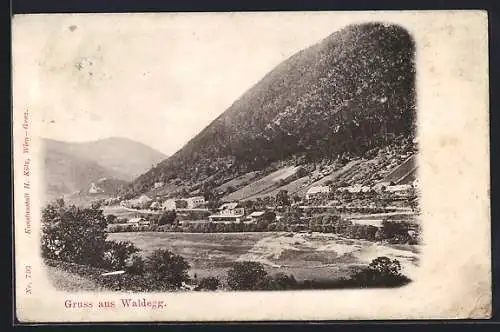 AK Waldegg, Panorama aus der Vogelschau