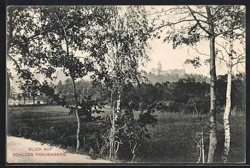 AK Frauenberg, Blick auf das Schloss