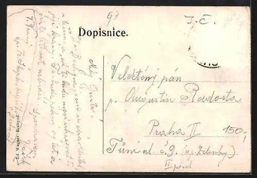 AK Bechyne, Celkovy pohled