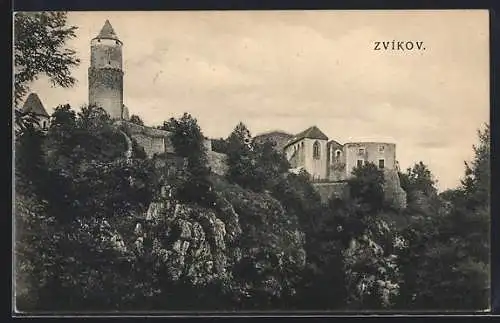 AK Zvikov, Burganlage