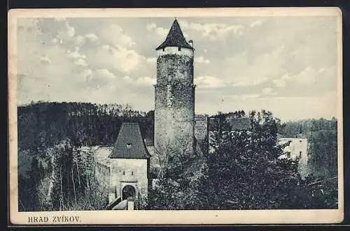 AK Zvikov, Hrad Zvikov