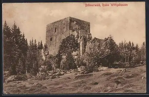 AK Wittigshausen, Ruine