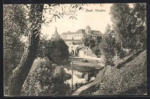 AK Neuhaus / Jindrichuv Hradec, Blick an Bäumen vorbei auf das Schloss