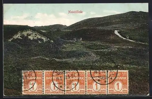 AK Hedebillede, Feldweg mit Karren