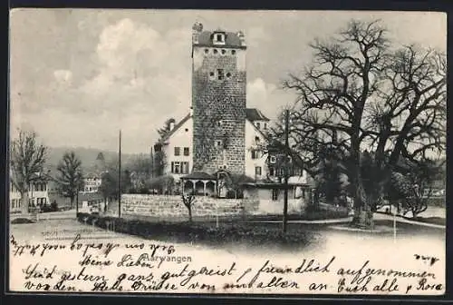 AK Aarwangen, Strassenpartie am Schloss