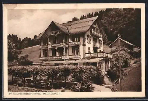 AK St. Beatenberg, Hotel Blümlisalp