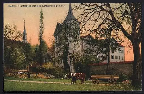 AK Baldegg, Töchterpensionat und Lehrerinnen-Seminar