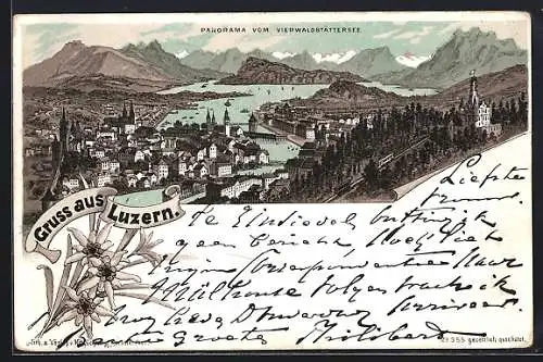 Lithographie Luzern, Gesamtansicht mit Panorama vom Vierwaldstättersee, Edelweissblüten