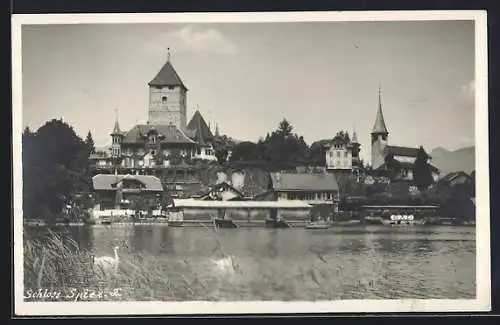 AK Spiez, Schloss Spiez