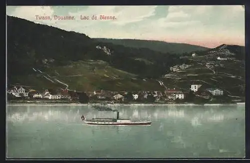 AK Twann /Lac de Bienne, Douanne, Panorama