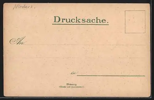 Lithographie Hameln, Gesamtansicht, Gertrudenbrunnen, Rattenfängerhaus