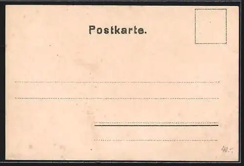 Lithographie Konstanz, Rathaushof, Bahnhof, Kais. Oberpostdirection, Hafenansicht, Hase