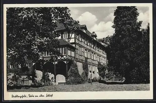 AK Stadtlengsfeld, Partie am alten Schloss