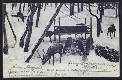 AK Harz, Hirschfütterung im Winter